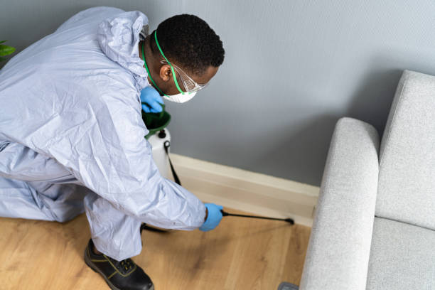 Professional Pest Control in Pearland, TX